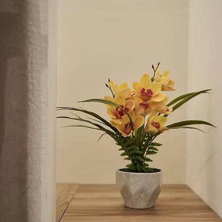 Bellaroma Navona 4*