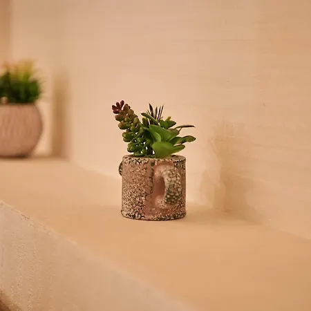 Bellaroma Navona Pensión