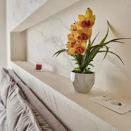 Bellaroma Navona Roma