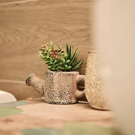 Bellaroma Navona 4* Roma